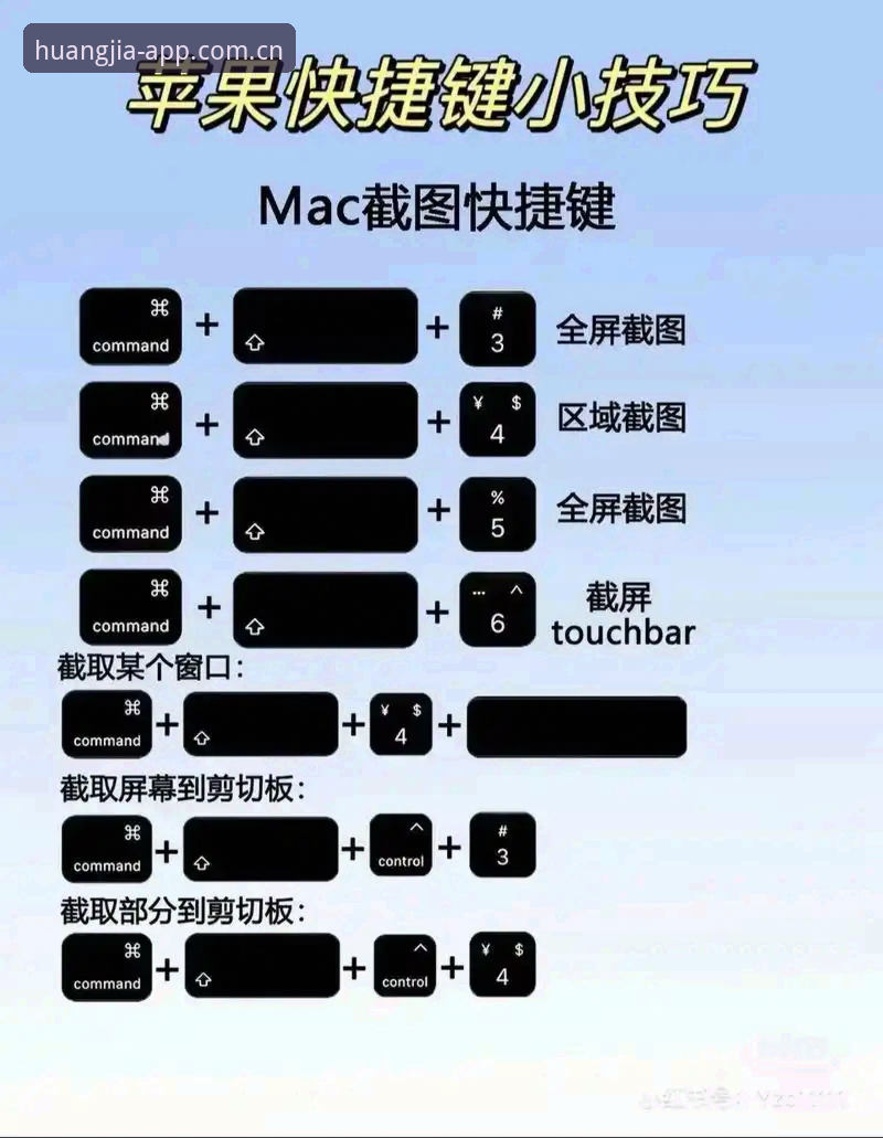 皇家国际功能常见问题全攻略：新手必备操作教程